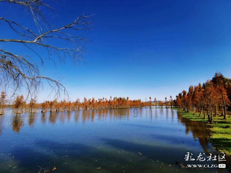 报告速读|打造世界知名旅游目的地